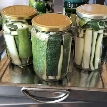 לינה וארוחת בוקר 