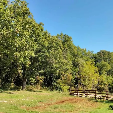 לינה וארוחת בוקר 